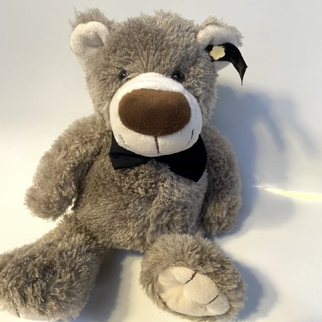 TEDDY 16cm = 13,95 EUR